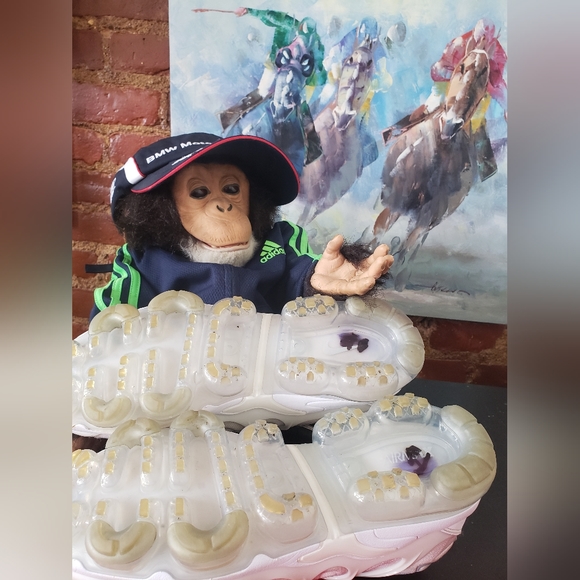 Nike Vapor Max Plus - Picture 8 of 11